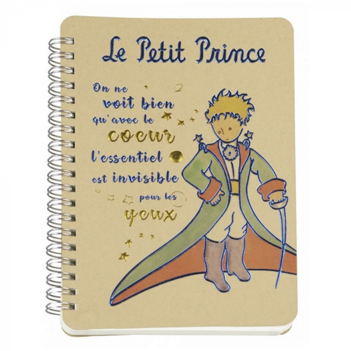 Carnet de notes Enesco Le Petit Prince, portrait (13x18cm)