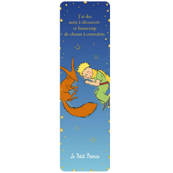 Trousse scolaire Kiub Le Petit Prince et le Renard Arc-en-ciel (19x6cm)