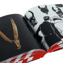 Livre de Tintin, Musée Hergé Editions La Martinière 24296 (2013)