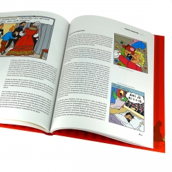 Libro Éditions Moulinsart Tintín & Cie de Michael Farr (24094)