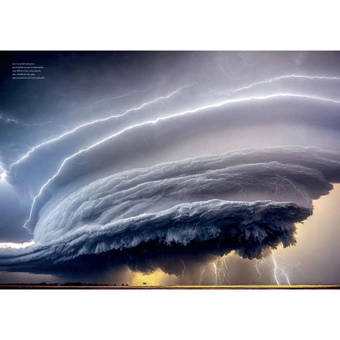 Magazine GEO Tintin face aux éléments + Botus et mouche cousue Nº22 (2024)