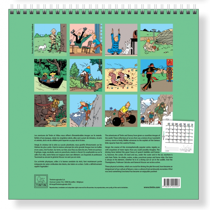 Calendrier Mural 2026 Tintin 30x30cm - Les Aventures De Tintin Et Les Loisirs - Quadrilingue (FR, EN, NL, ES)