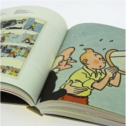 Catalogue de l'Exposition d'Hergé au Grand Palais Tintin (28992)