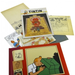 Livre Les trésors de Tintin de Dominique Maricq FR (24302)