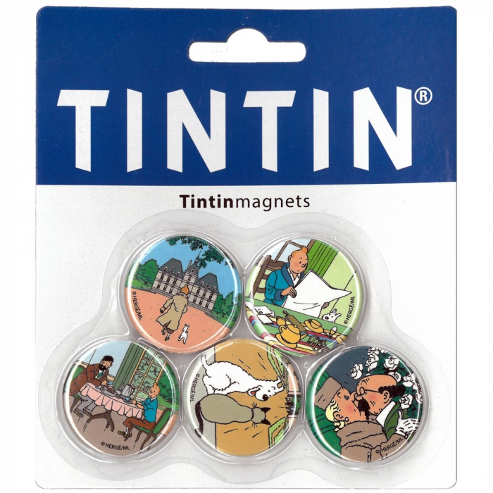 Set of 5 decorative fridge magnets of Tintin at the Moulinsart Castle (33mm)